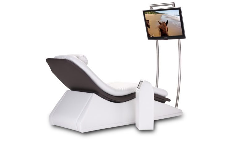 Motion Lounger